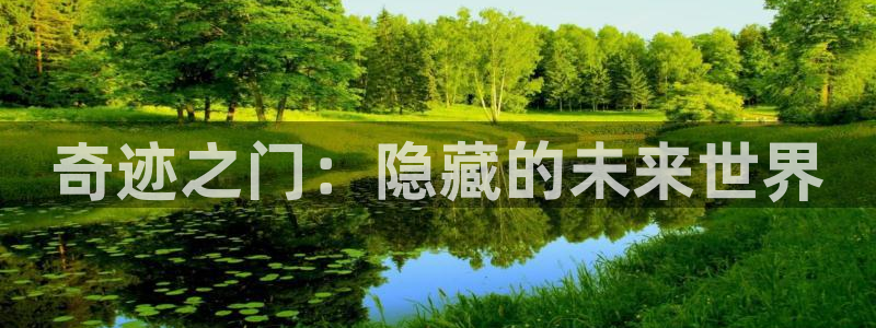 com.pc28.大神：奇迹之门：隐藏的未来世界