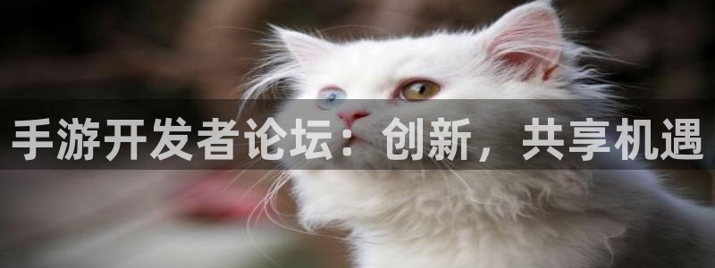 28大神预测网：手游开发者论坛：创新，共享机遇