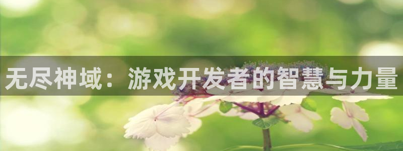 28大神下载苹果：无尽神域：游戏开发者的智慧与力量