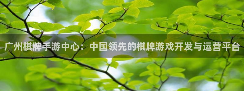 大神28app官网下载：广州棋牌手游中心：中国领先的棋牌游戏