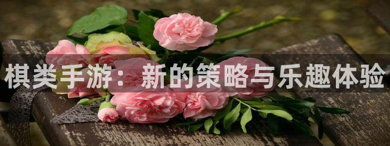 大神28app苹果版：棋类手游：新的策略与乐趣体验