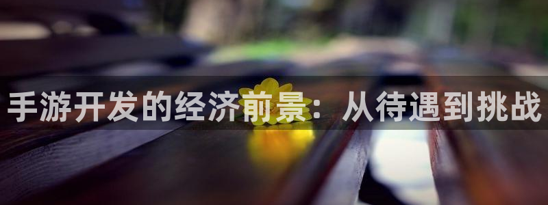 大神28：手游开发的经济前景：从待遇到挑战