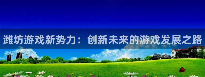 28大神网页：潍坊游戏新势力：创新未来的游戏发展之路