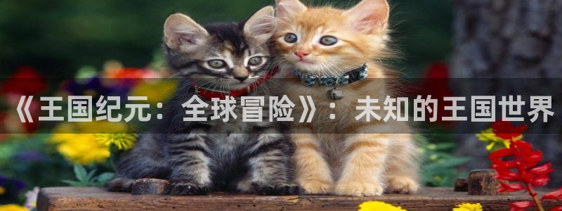 pc28开奖网站大神：《王国纪元：全球冒险》：未知的王国世界