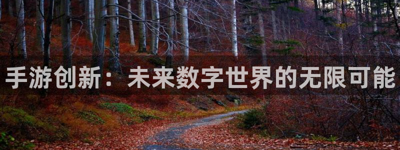 28大神官方网站手机版：手游创新：未来数字世界的无限可能