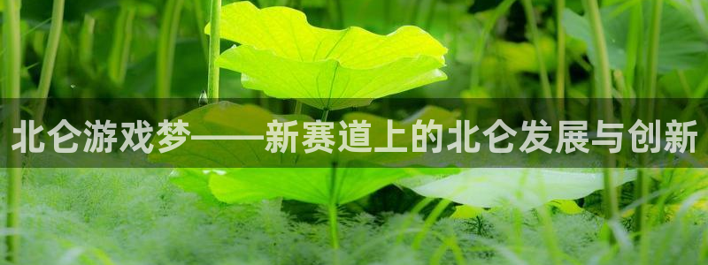 28大神免费预测：北仑游戏梦——新赛道上的北仑发展与创新