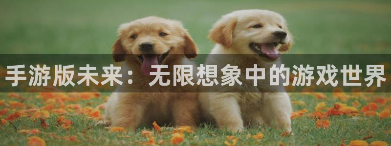 28大神免费预测：手游版未来：无限想象中的游戏世界