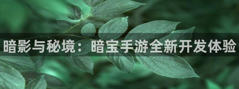 大神pc28在线预测
