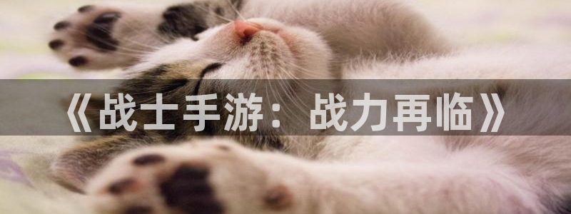 大神28开奖查询