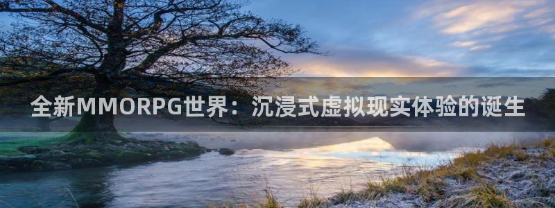 大神网pc28：全新MMORPG世界：沉浸式虚拟现实体验的诞
