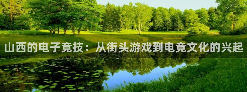 大神28加拿大在线预测：山西的电子竞技：从街头游戏到电竞文化