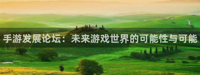 28大神网页：手游发展论坛：未来游戏世界的可能性与可能