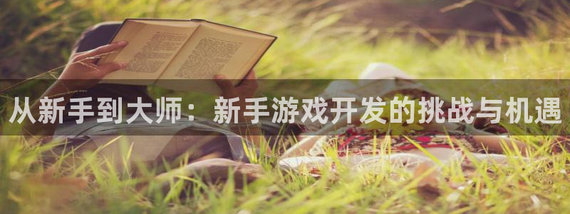 28大神v5.6.0：从新手到大师：新手游戏开发的挑战与机遇